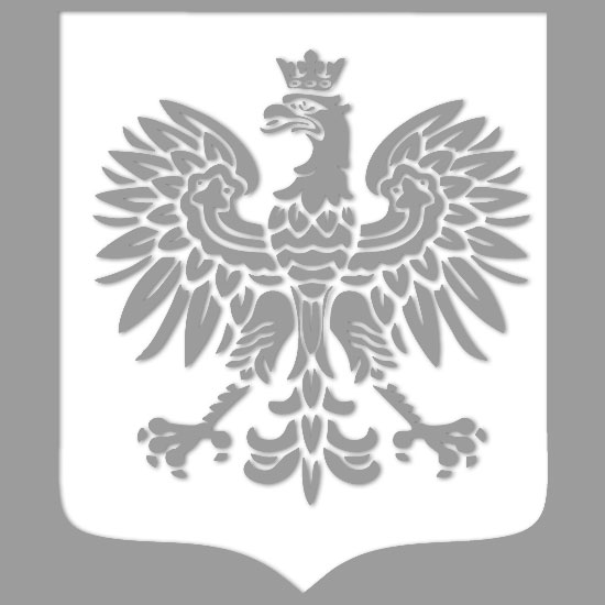 Szablon Do Malowania Scian Symbole Patriotyczne Godlo Polski