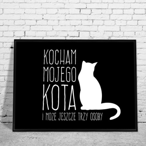 plakaty z kotami