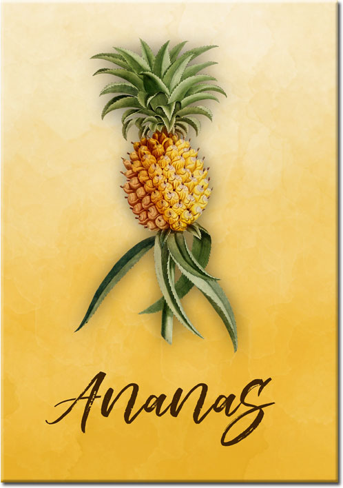 plakaty z ananasami