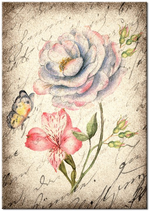 Plakat z motywem kwiatów i motyla