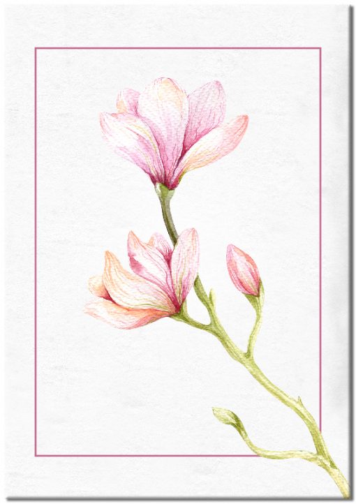 Plakat z gałązką magnolii