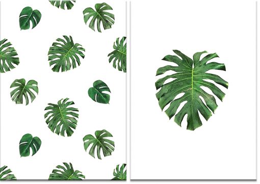 Podwójny plakat w tropikalne liście