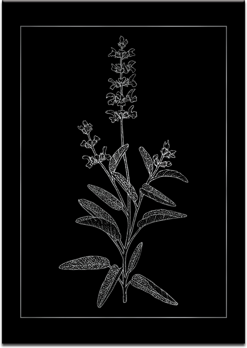Metaliczny plakat z kwiatowym motywem