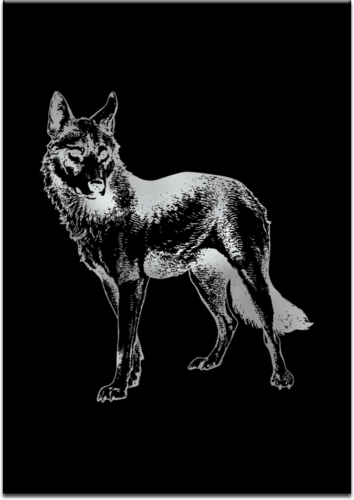 Posrebrzany plakat z wilkiem