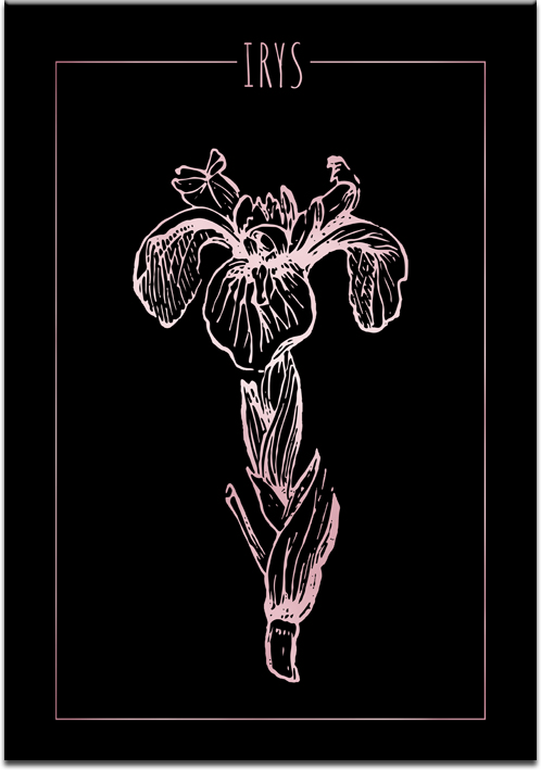 Plakat z motywem kwiatu