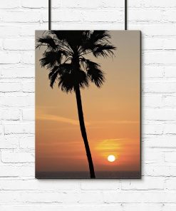 Plakat zachód słońca i palma