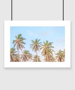 Plakat z motywem palm