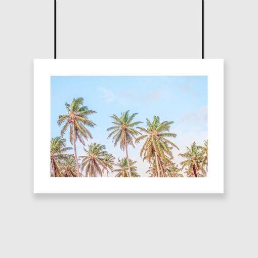 Plakat z motywem palm
