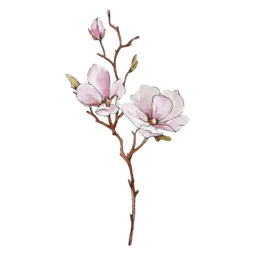Naklejka ścienna magnolia