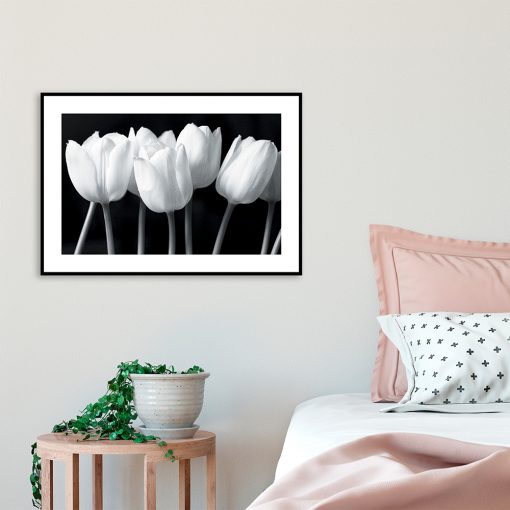 plakat czarno-białe tulipany