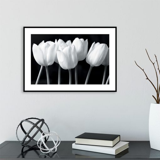 plakat z motywem tulipanów