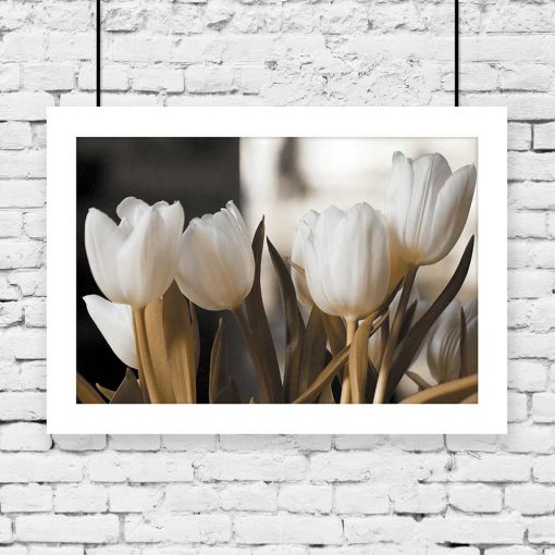 plakat kwiaty tulipanów