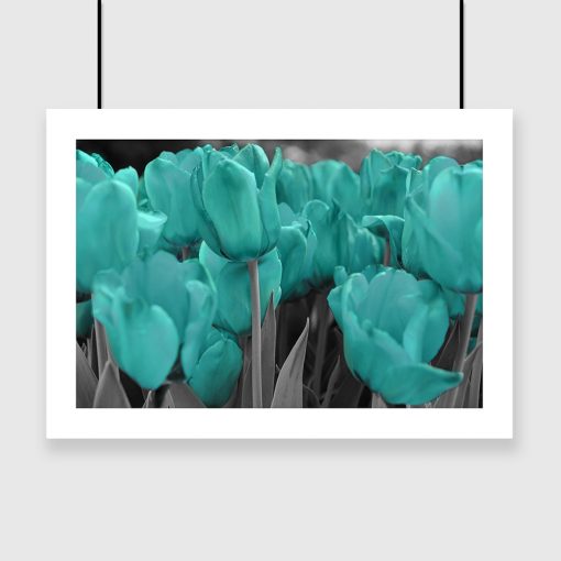 plakat turkusowe tulipany