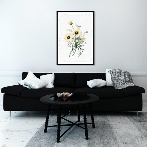 Plakat z motywem kwiatów polnych