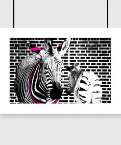 czarno-biały plakat z zebrami