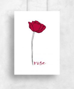 plakat różowa róża