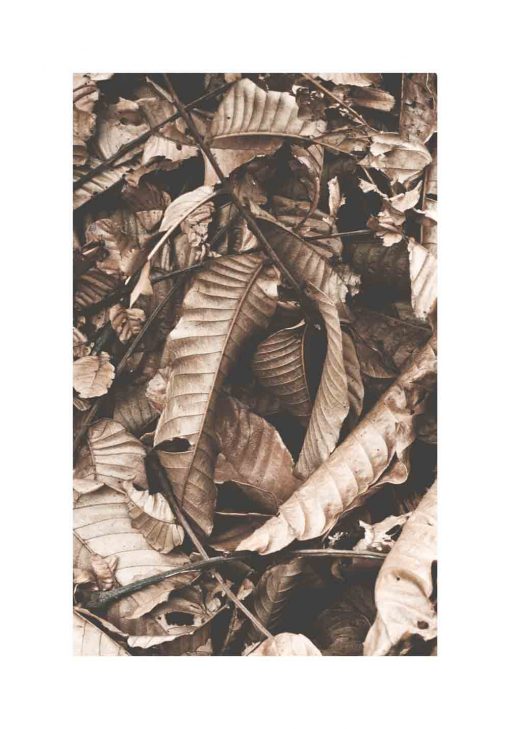 Plakat w ramie jesienne liście