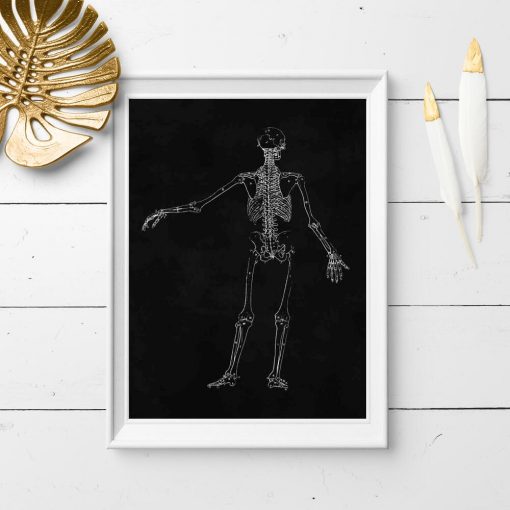 Plakat dla fizjoterapeuty ze szkieletem