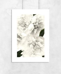Plakat z białymi kwiatami