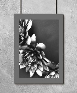 Plakat - Kwiaty czarno-białe do salonu