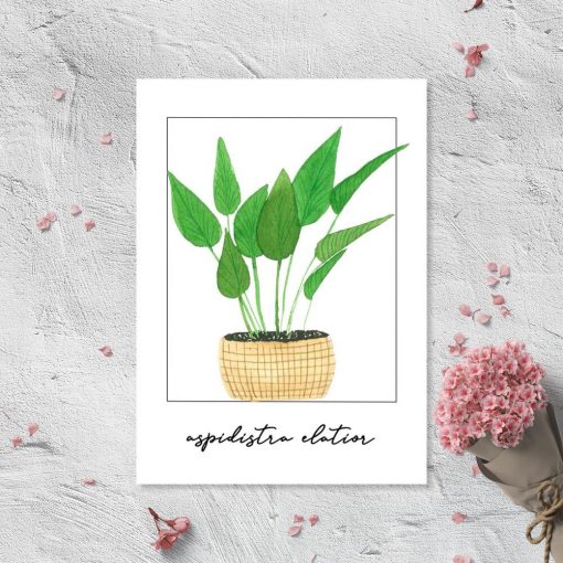 Plakat z rośliną do przedpokoju