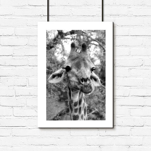 Plakat z żyrafą wśród drzew