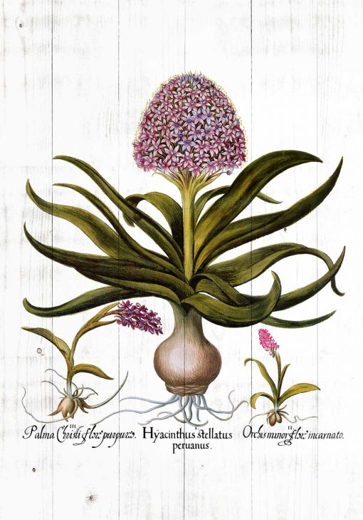 Plakat - Fioletowe kwiaty na deskach do kuchni