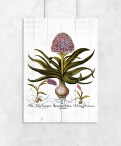 Plakat - Fioletowe kwiaty na deskach do przedpokoju
