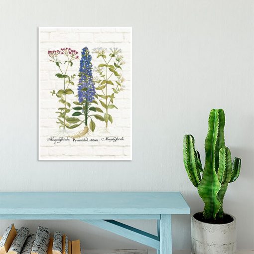 Botaniczny plakat z kolorowymi polnymi kwiatuszkami do gabinetu