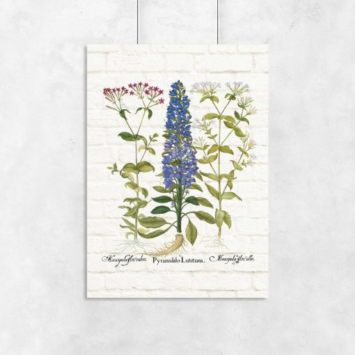 Botaniczny plakat z kolorowymi polnymi kwiatuszkami do przedpokoju