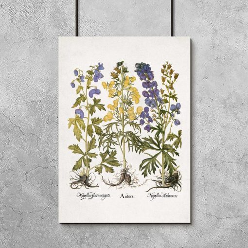 Fioletowo-niebieski mordownik - Plakat botaniczny do biura