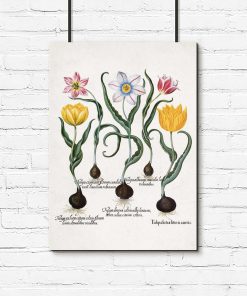 Plakat botaniczny z kwiatami