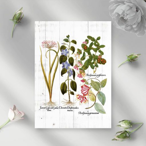 Plakat rustykalny z kwitnącymi roślinami
