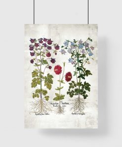 Plakat z kwiatami ogrodowymi