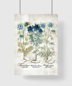 Plakat z motywem niebieskich kwiatów łąkowych
