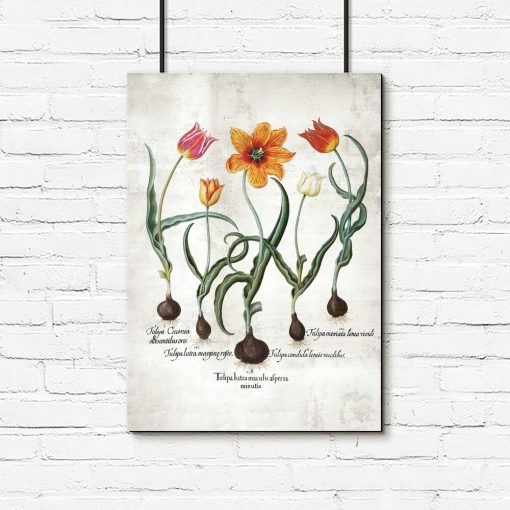 Plakat z płomienistymi tulipanami do gabinetu