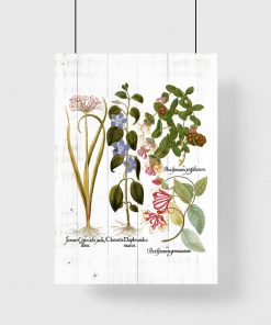 Plakat z roślinami na tle desek