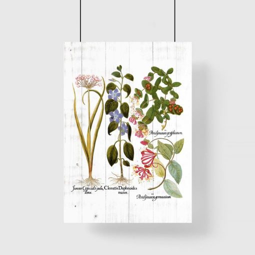 Plakat z roślinami na tle desek