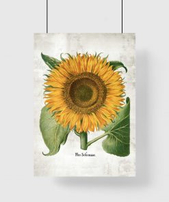 Plakat ze słonecznikiem