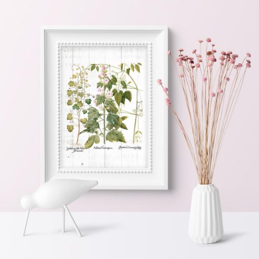 Plakat edukacyjny z kwiatami i ziołami