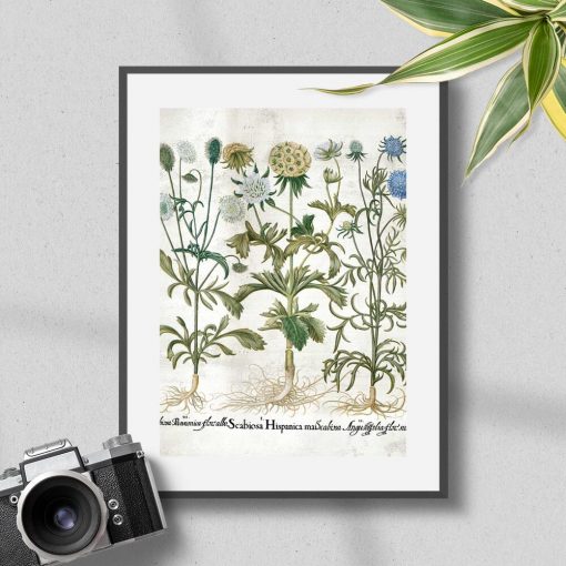 Plakat z motywem roślin