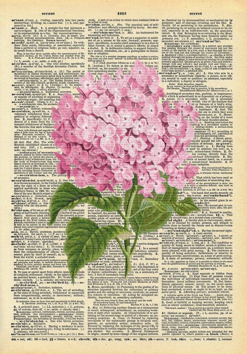 Plakat z różową hortensją