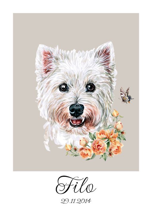 Plakat z rasą psa - west highland white terrier - metryczka